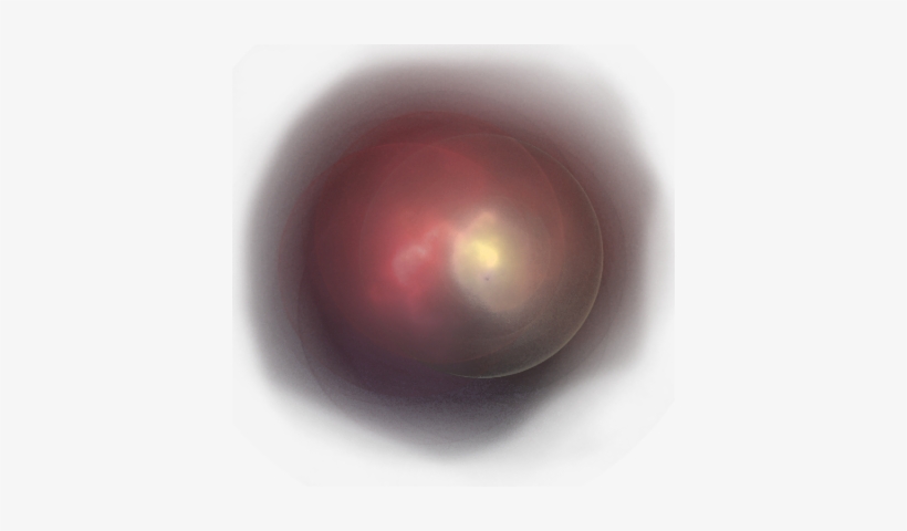 06 Feb 2009 - Plum, transparent png download