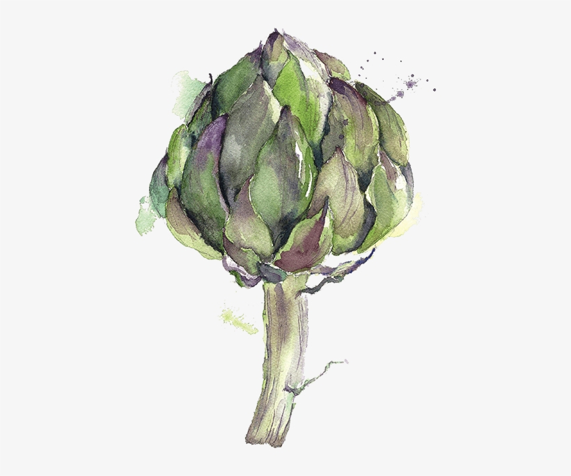 £6 - - Artichoke Watercolor Painting, transparent png download