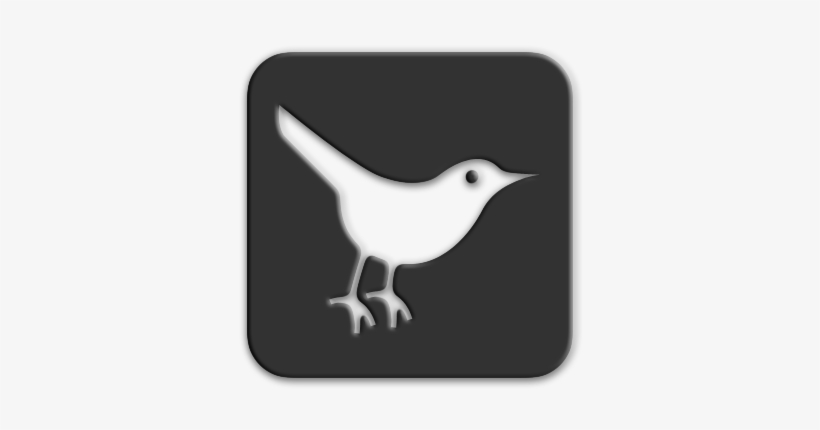 Social Media, transparent png download