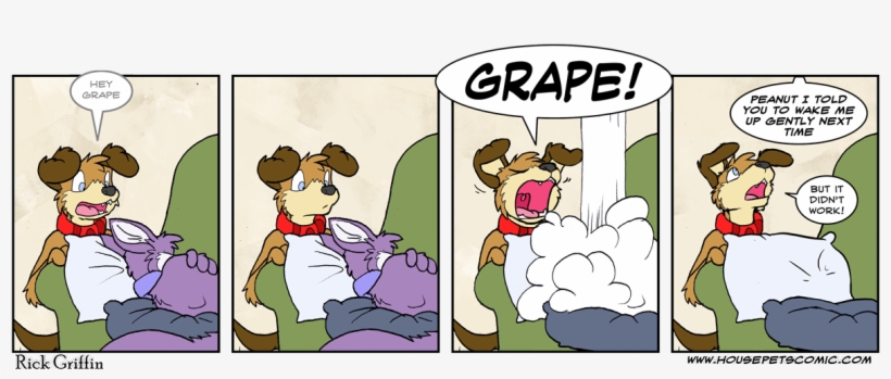 By The Way Mom Asked Why She Keeps Finding Claw Marks - Housepets Peanut And Grape Porn, transparent png download