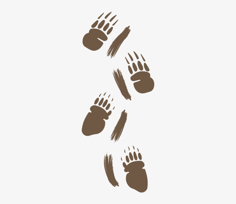 Porcupine Claw Marks Will Typically Show - Illustration, transparent png download