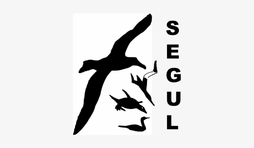 Segul - Twitter, transparent png download
