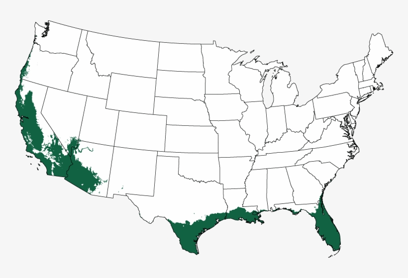 Plant Hardiness Zones 9-11 - Tornado Alley Joplin, transparent png download