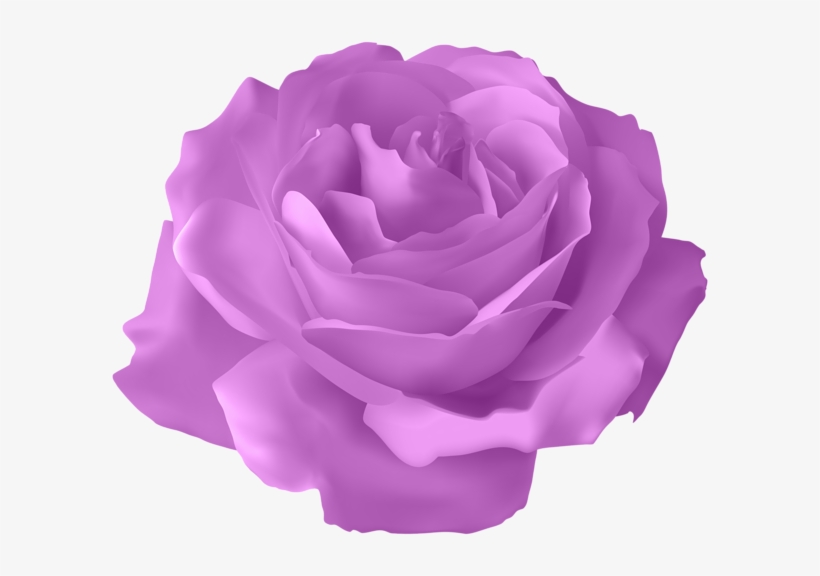 Clip Arts Related To - Purple Rose With Stem Transparent Background, transparent png download