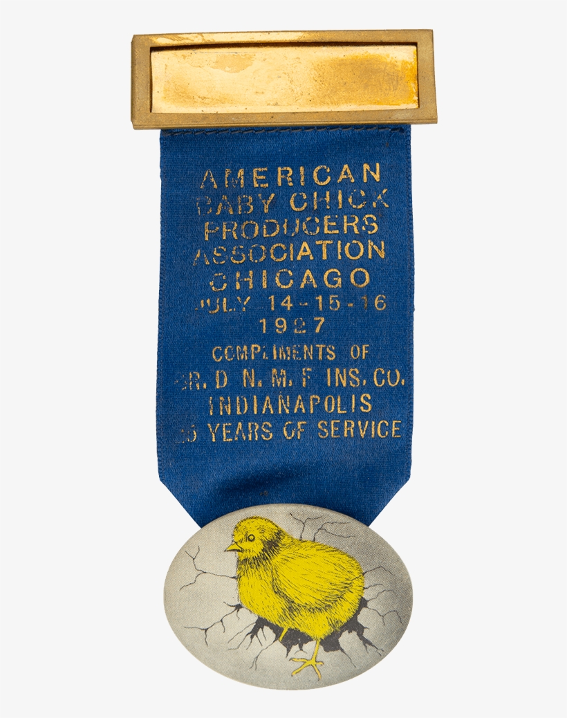 American Baby Chick Producers Association - Museum, transparent png download