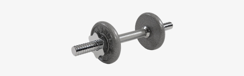 Dumbbell Set 4kg - Casall Dumbbell Set 4 Kg 4 Kg, transparent png download