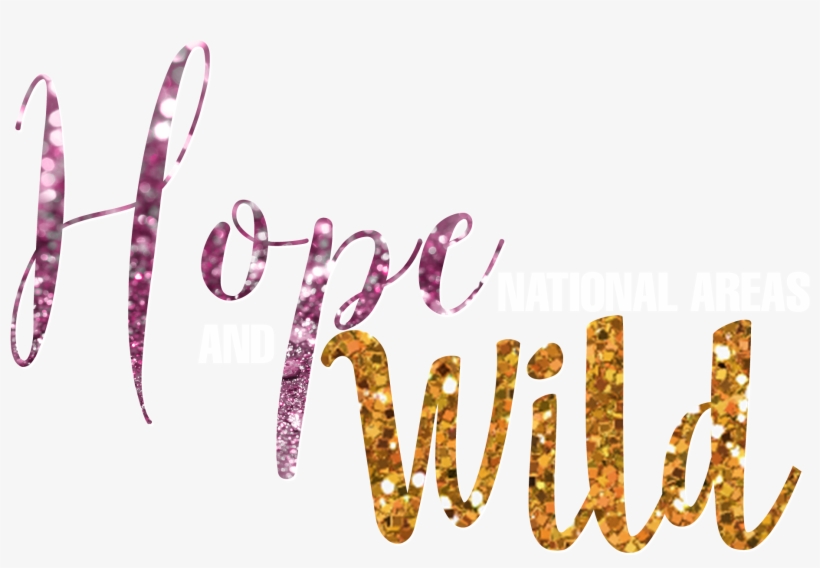 Nancy Osborn & Annaka Krafka - Calligraphy, transparent png download