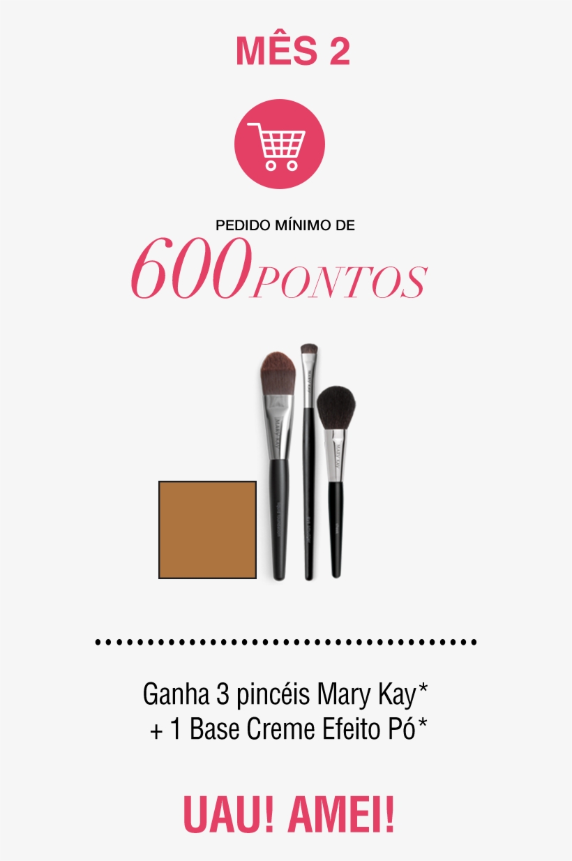 Nova Consultora Mary Kay - Makeup Brushes, transparent png download