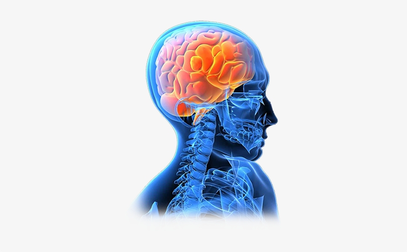 Ghosh Has Extensive Training, Background, And Experience - Advanced Topics In Glioblastoma, transparent png download