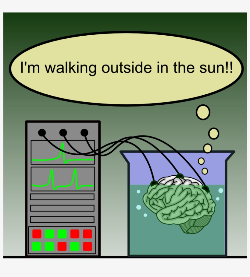 Brain In A Vat, transparent png download