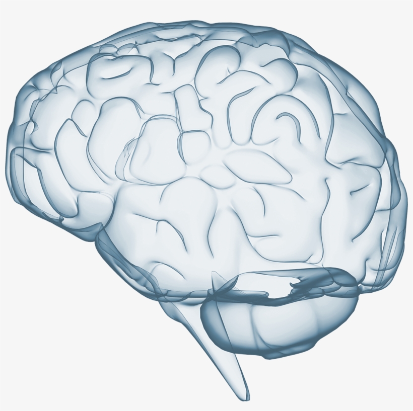 35 Years Of Research - Learningrx - Centennial, transparent png download