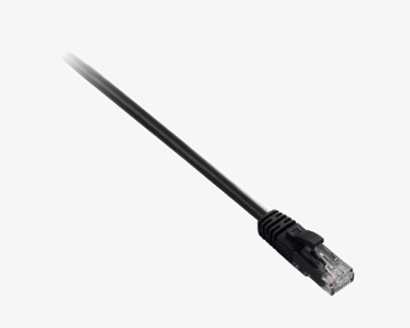 Ethernet Cable - Fantastic Beasts Graves Wand, transparent png download