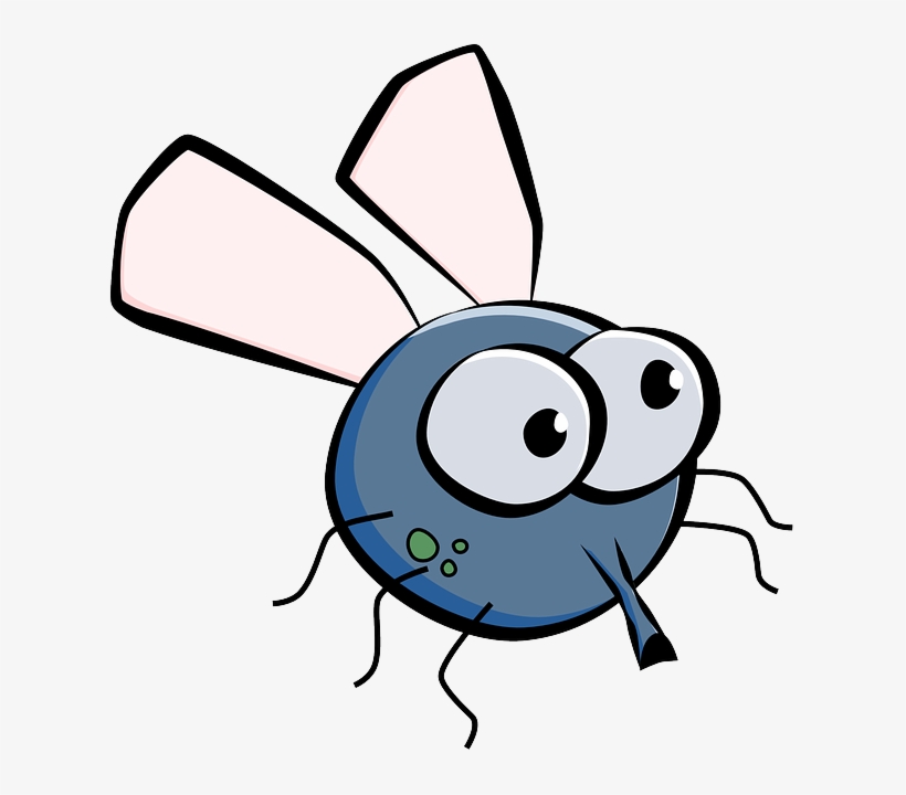 Housefly, House Fly, Fly, Insect, Wings, Eyes, Cartoon - Budget Tote.drawing Fly. Tote Bag, transparent png download