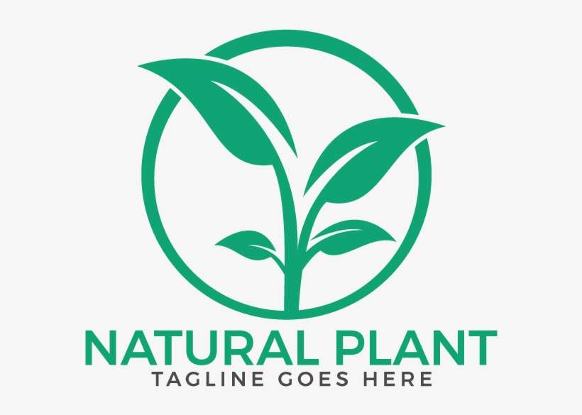Natural Plant Logo Design - Logo, transparent png download