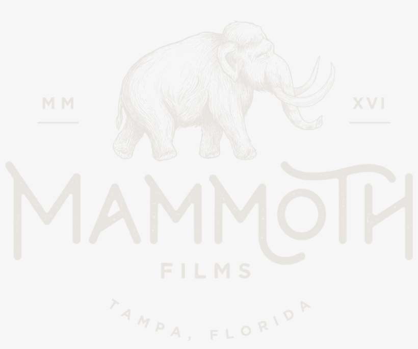 Film, transparent png download