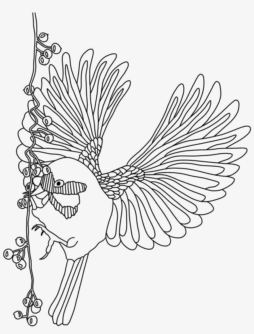 Download The Bird Coloring Page - Line Art, transparent png download