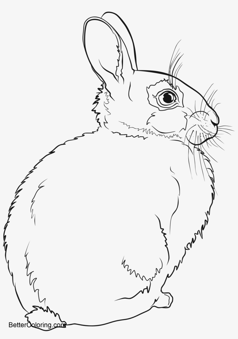 Download This Coloring Page - Coloring Book, transparent png download