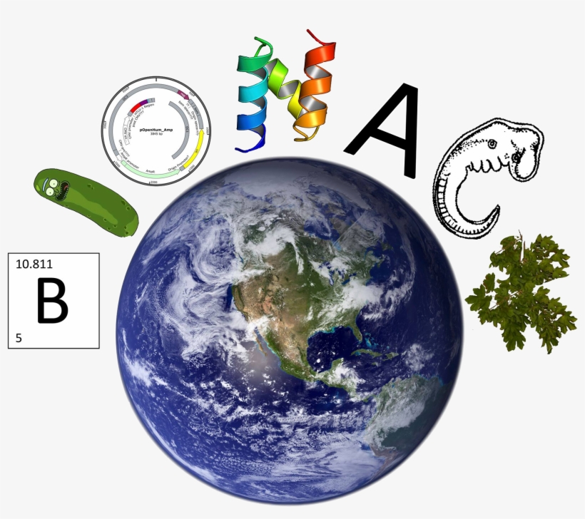 Home - Brochure For Solar System, transparent png download