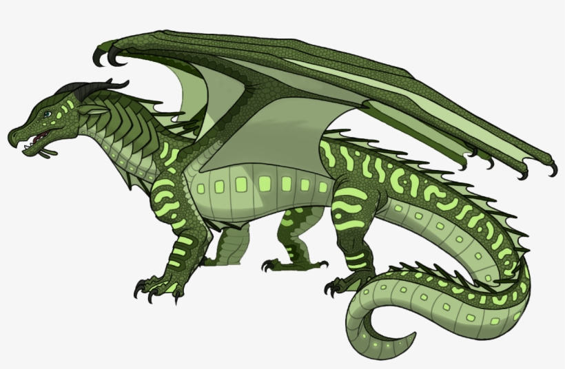 Tortoise - Tsunami Wings Of Fire, transparent png download