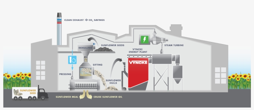 Svg Royalty Free Download Oil Vector Sunflower - Biomass, transparent png download