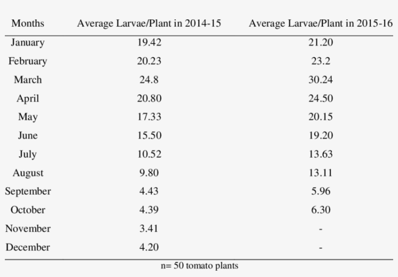 Average Tuta Absoluta Larvae Infestation On Tomato - Table, transparent png download