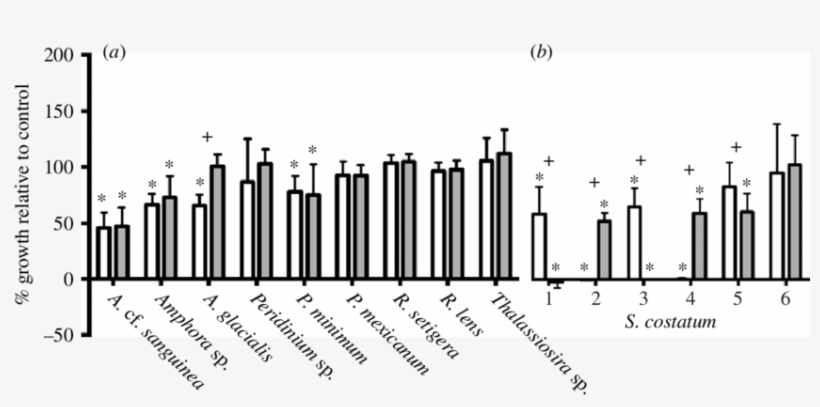 The Effects Of Extracellular Extracts Of K - Illustration, transparent png download