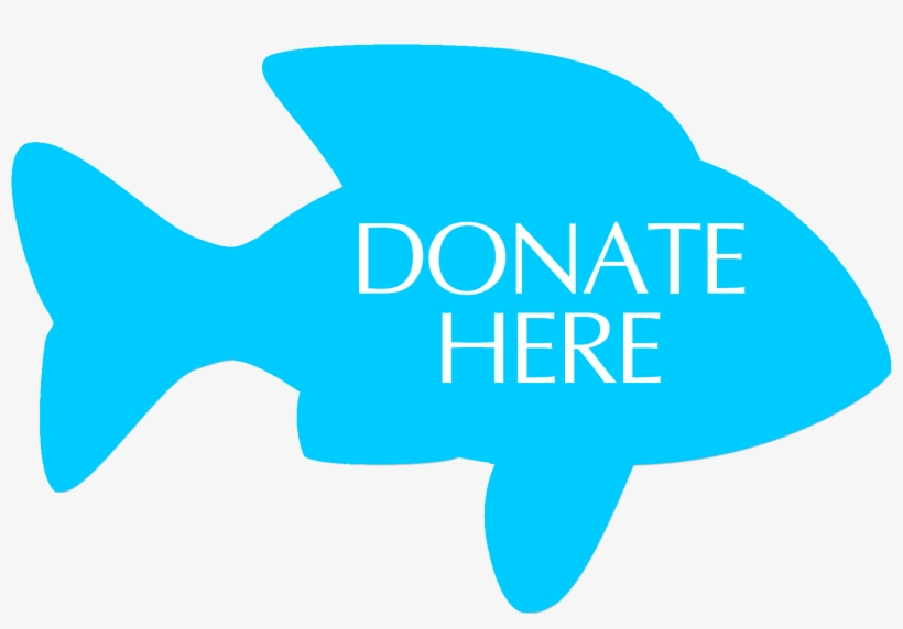 Fshare - Colegio Prudente De Moraes, transparent png download