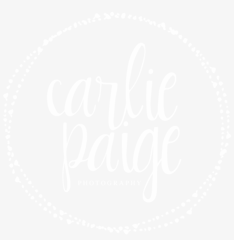 Carlie Paige Photography - Translucent Instagram Logo White, transparent png download