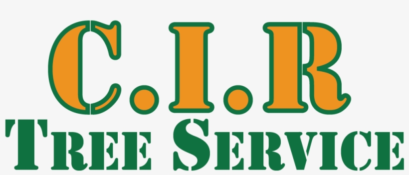 Bernie President 2016 Rectangle Magnet, transparent png download