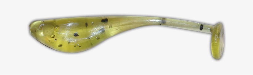 Mealperchshad-watermelon - Eel, transparent png download