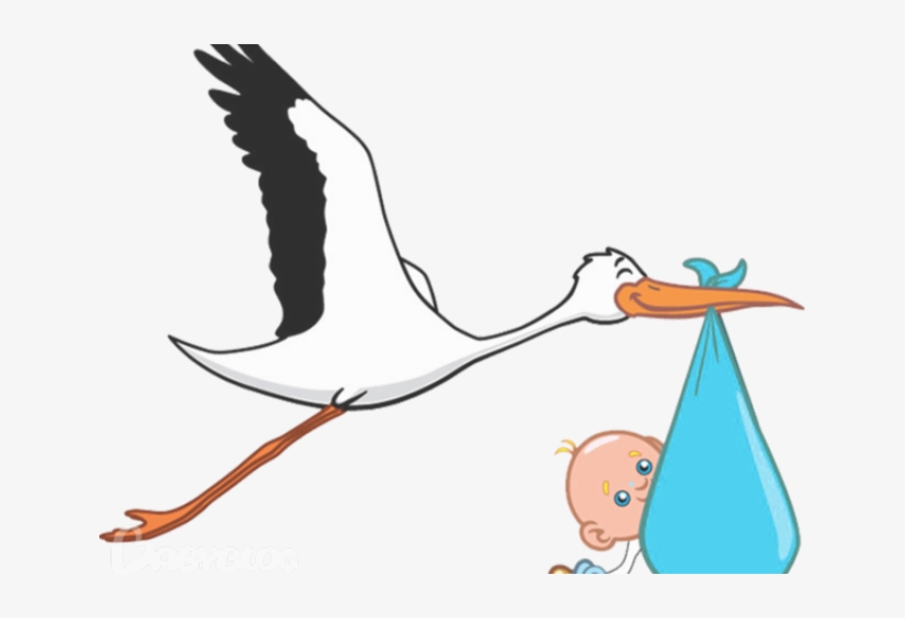 Stork Clipart Transparent, transparent png download