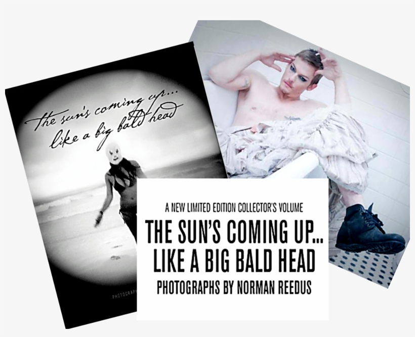 Stock Photo - Sun's Coming Up Like A Big Bald Head, transparent png download