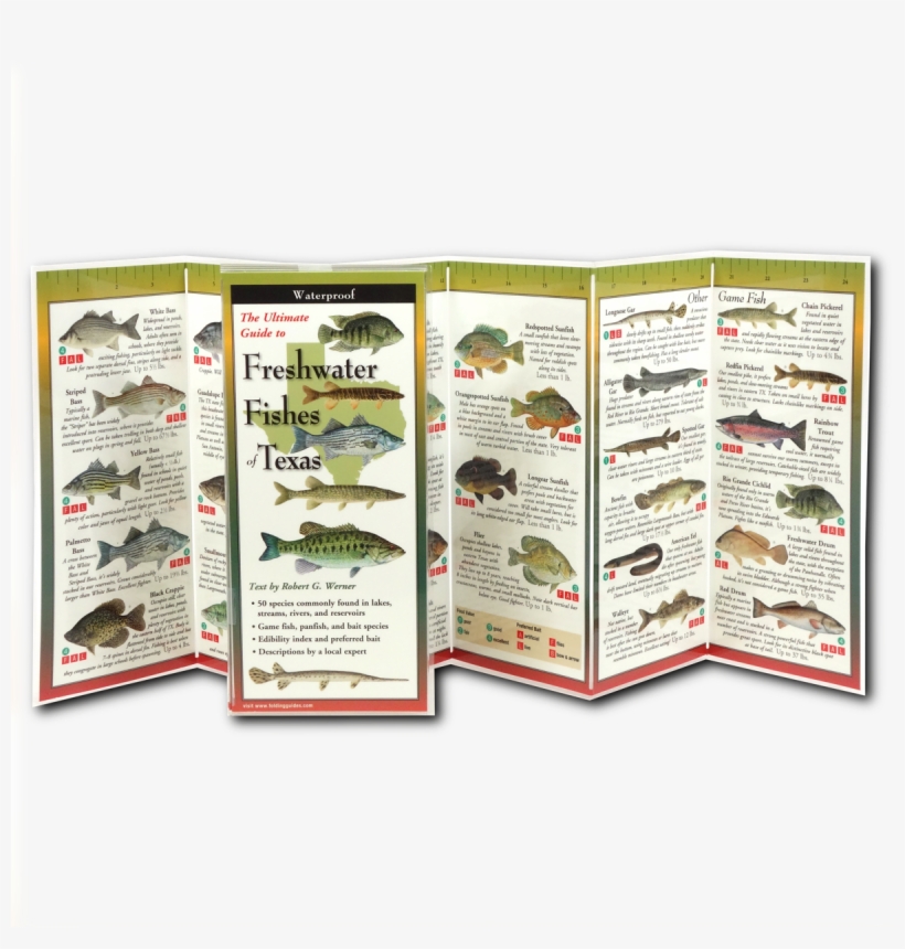 Shopping Cart -  -  - Freshwater Fishes Of Texas: Folding Guide (paperback), transparent png download