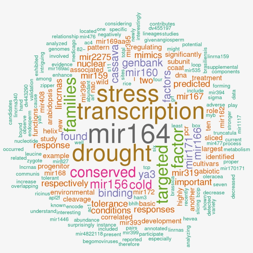 10 Open Access Papers Mention Mes-mir169h - Bees Word Cloud, transparent png download