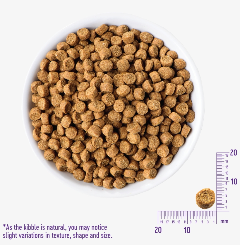 Complete Health™ Grain Free Indoor - Food, transparent png download