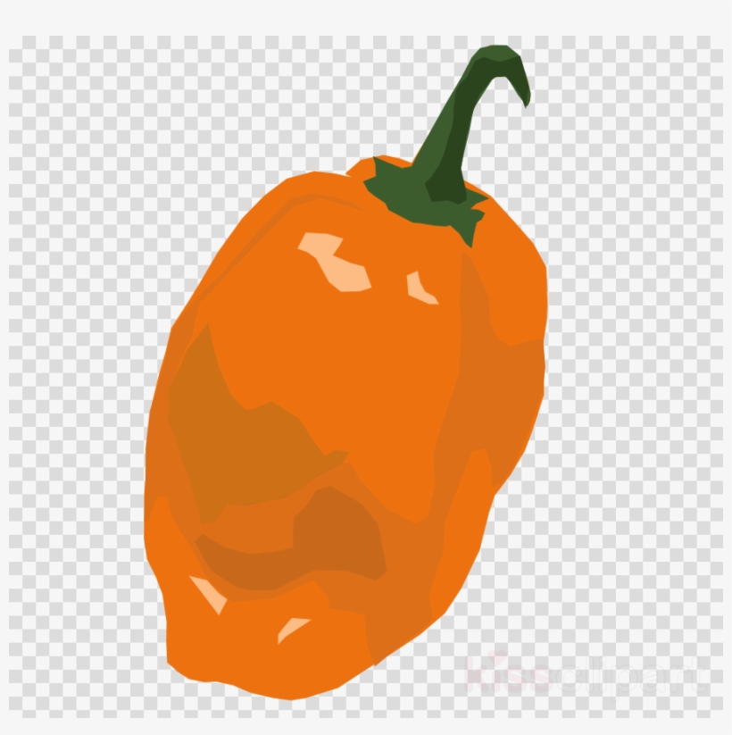 Habanero Pepper Png Clipart Habanero Chili Pepper Clip Transparent