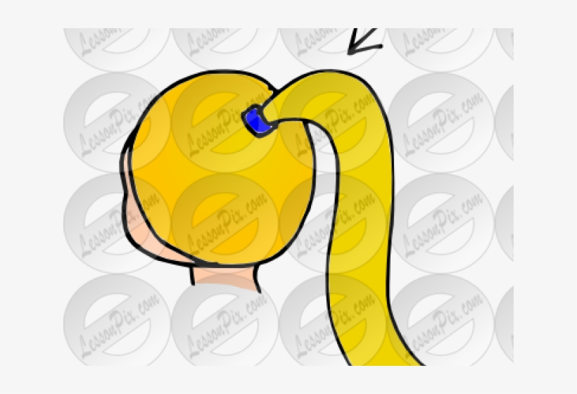 Hair In A Ponytail Clipart, transparent png download