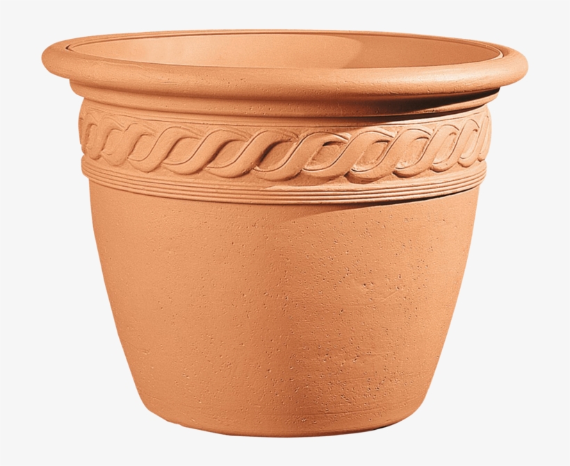 Plant - Flower Pot Png, transparent png download