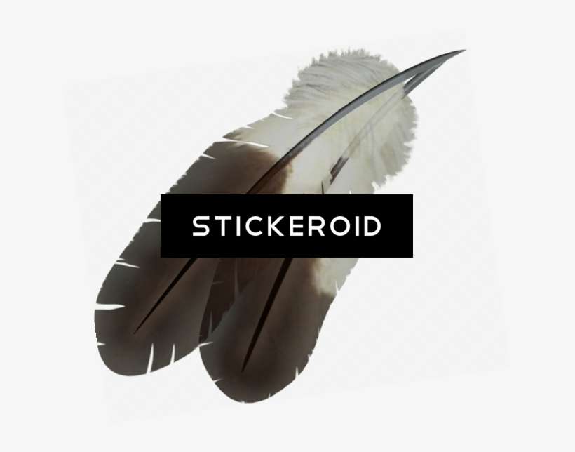Feather - Wing, transparent png download