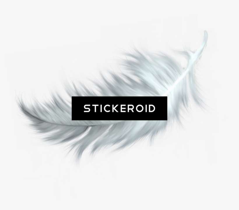 Feather - Eyelash Extensions, transparent png download