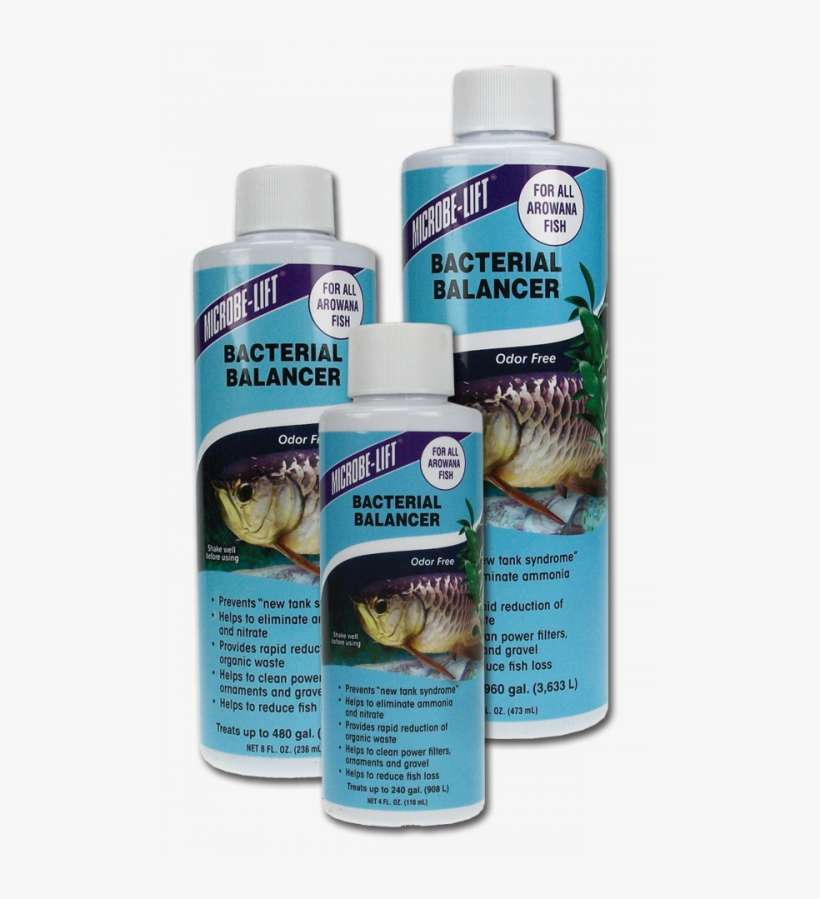 Related Products - Beneficial Bacteria Aquarium, transparent png download
