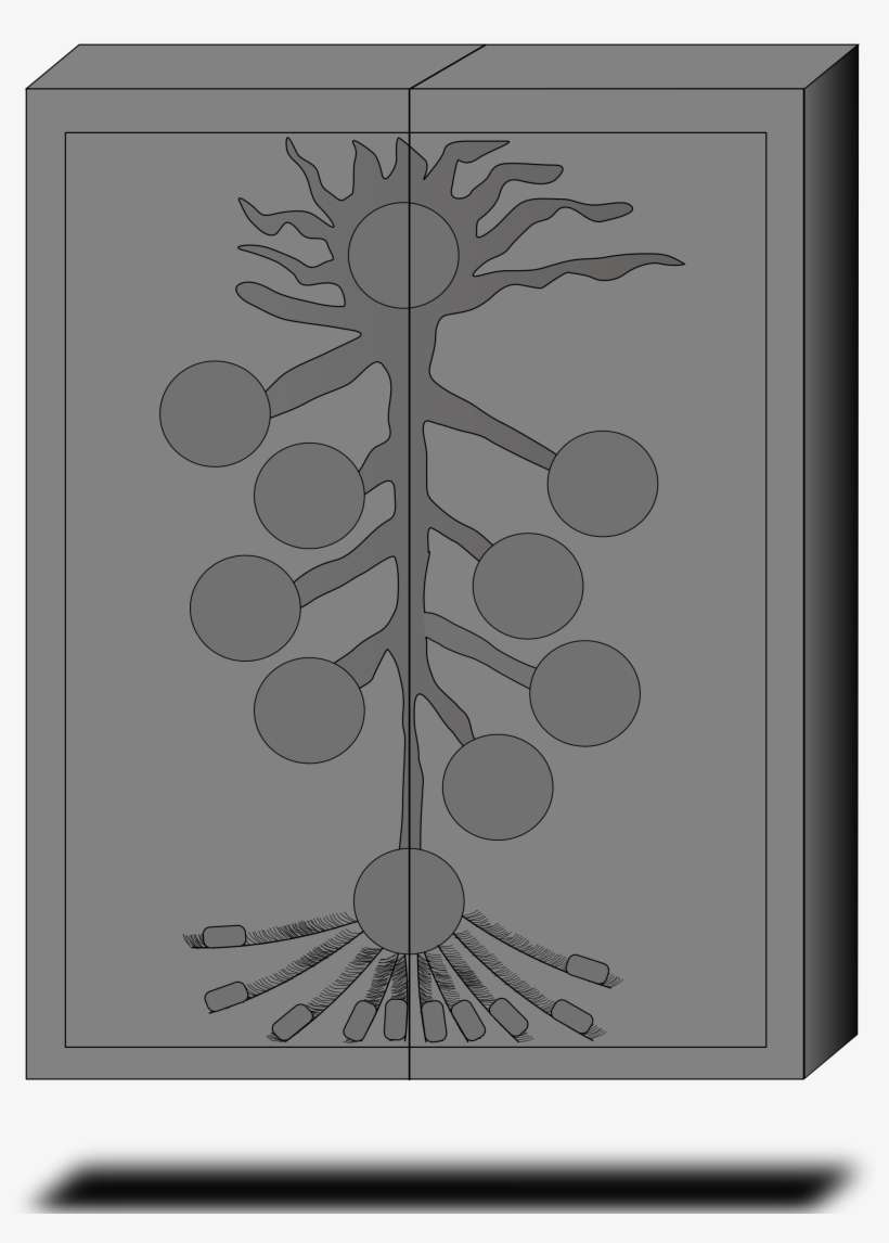 Open - Full Metal Alchemist The Gate, transparent png download