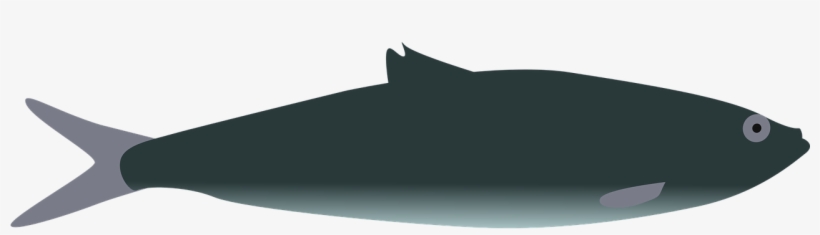 Fish Trout Eat - Fish, transparent png download
