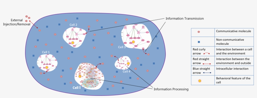 To Capture The Nonlinear And Stochastic Features Of - Circle, transparent png download