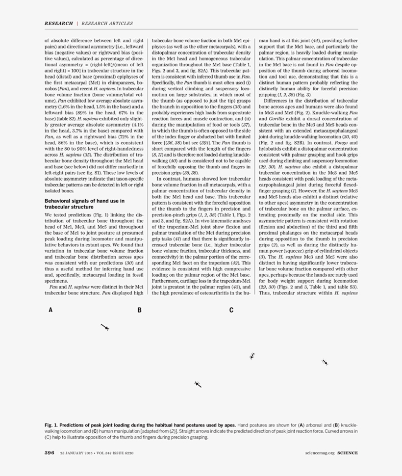 What - Ferderal Minimum Wage Poster, transparent png download