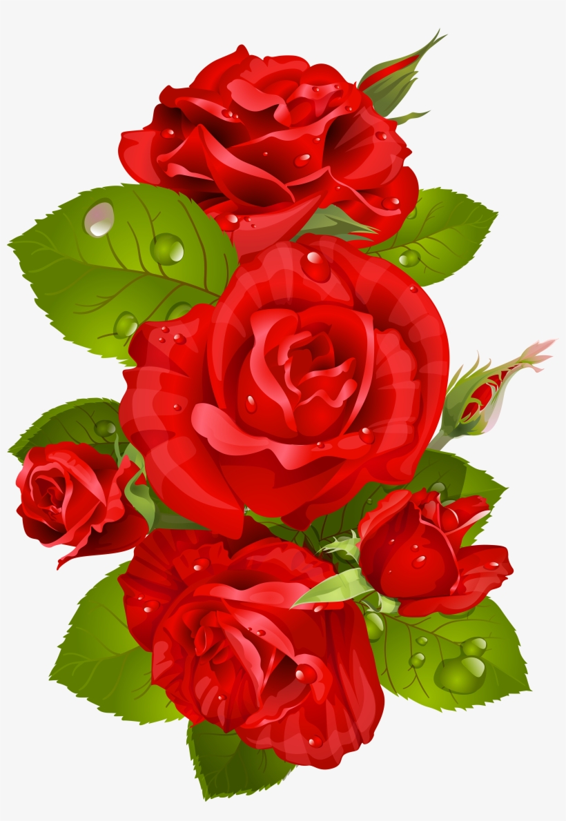 Decoración Roja Rose Png Transparente Clip Art Imagen - Roja Flowers Images Png, transparent png download