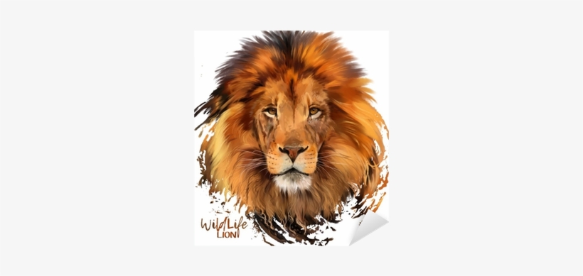 Zazzle Löwe Poster, transparent png download
