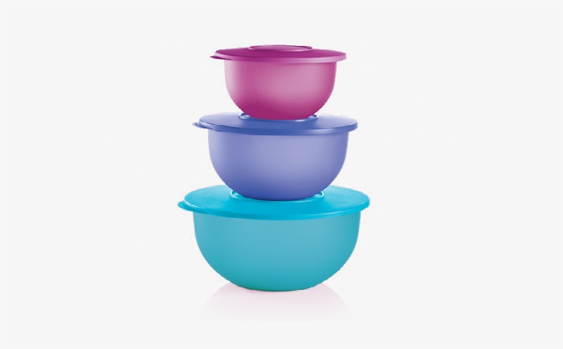 The Sociological Box - Tupperware Impressions Bowls, transparent png download