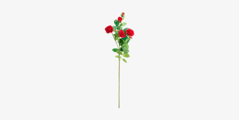 European Oil Painting Simulation Bouquet Roses Wholesale - Floribunda, transparent png download
