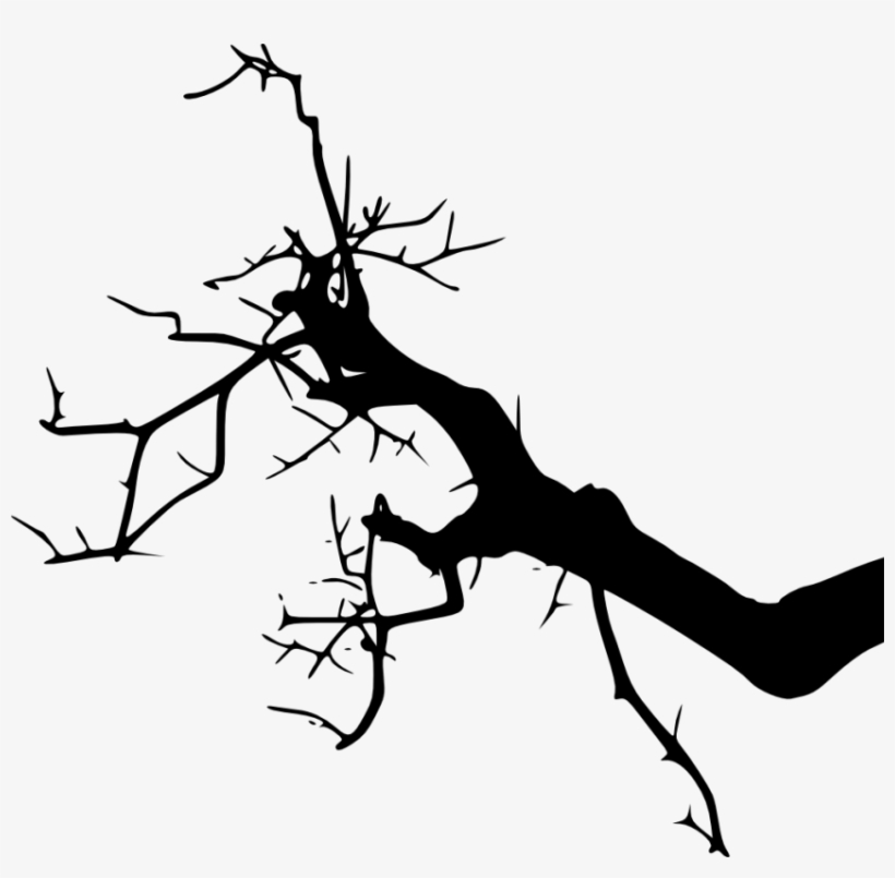 Free Png Tree Branches Silhouette Png Images Transparent - Brances Silhouette, transparent png download